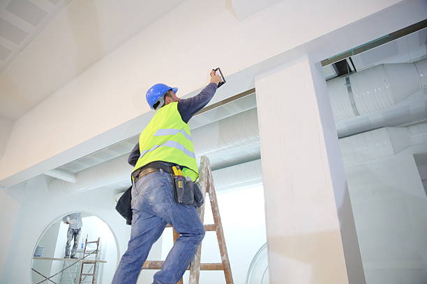 Mold Odor Removal Services in Hales Corners, WI