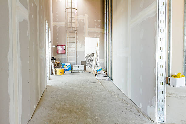 Best Water Damage & Mold Remediation  in Hales Corners, WI