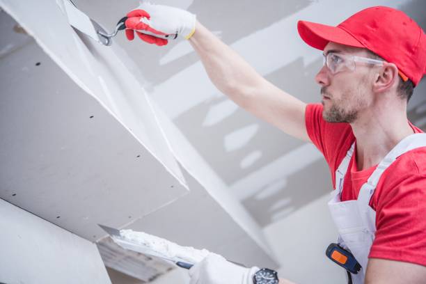 Reliable Hales Corners, WI Mold Removal Solutions